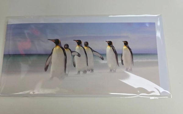 King Penguins