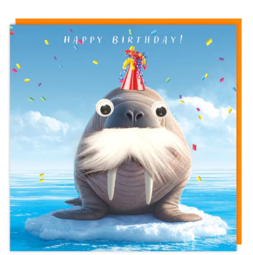 Fluffy & googly cards