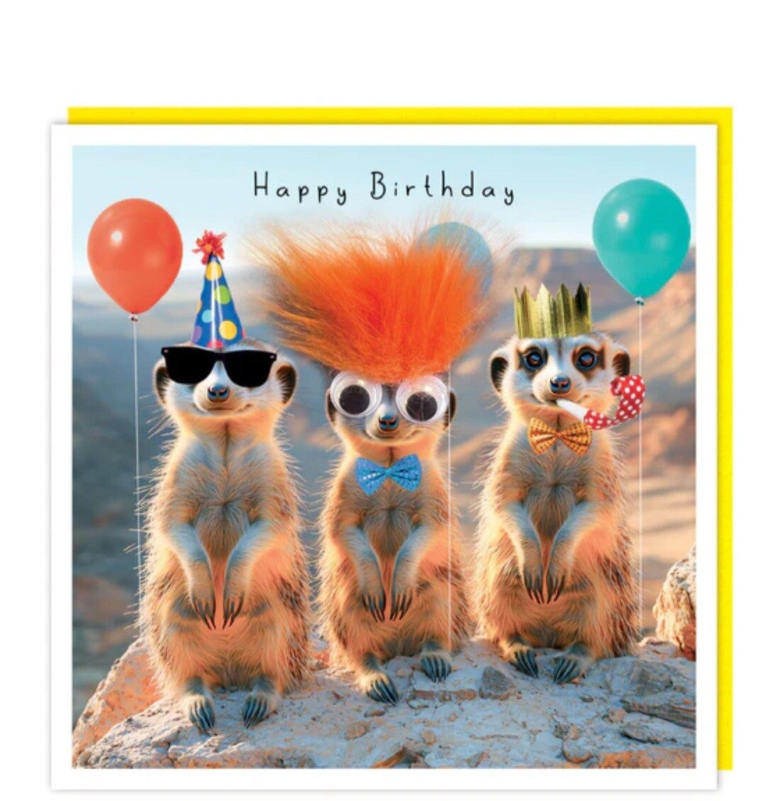 Fluffy & googly cards