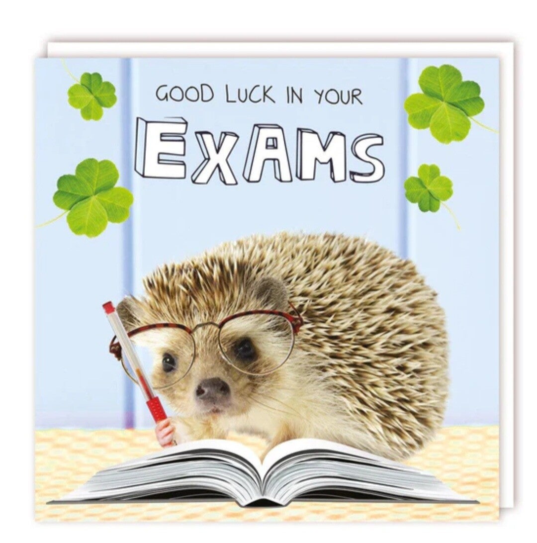 Fluffy & googly cards