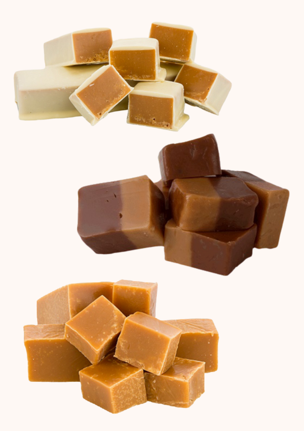 Fudge 3x 100 gram B