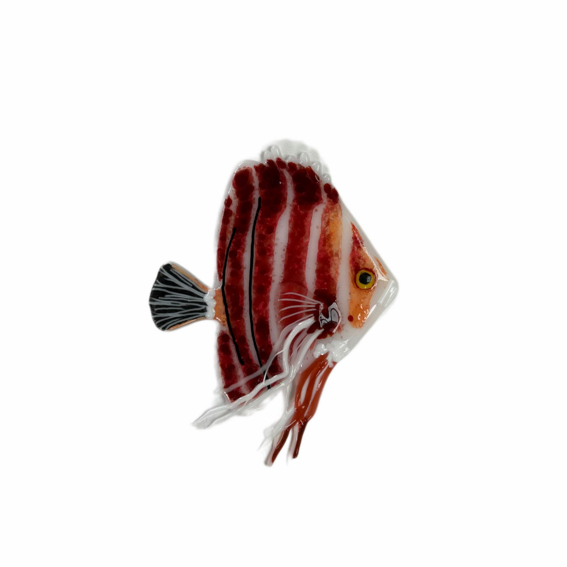 Exotic Fish nr 2 -  (English version)