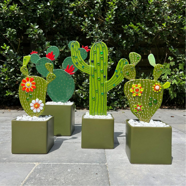 Workshop Cactus