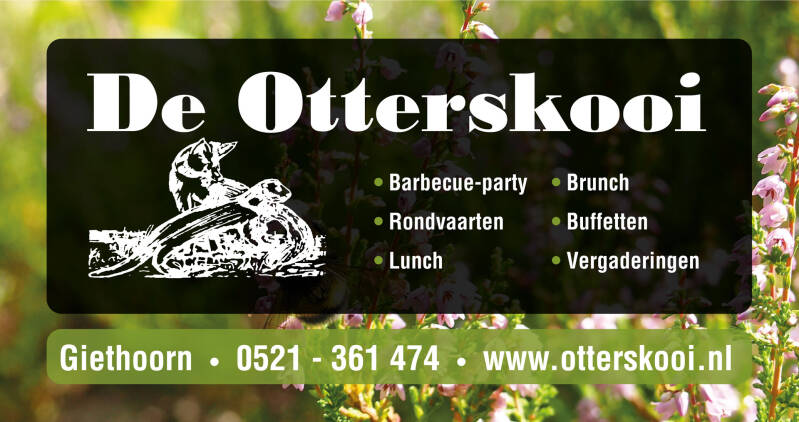 advertentie-2017-standard-xuvwk4.jpg