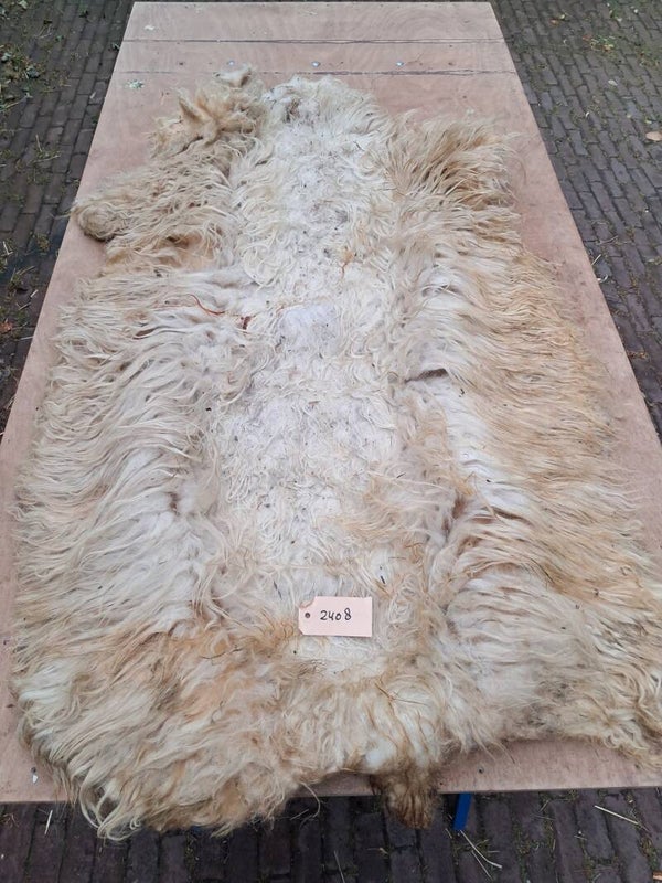 Ruwe vacht 2408