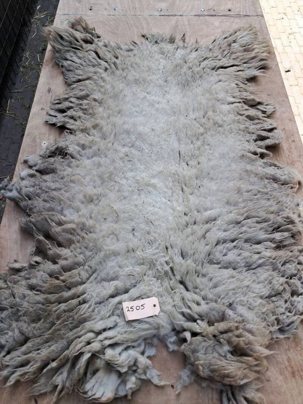 Ruwe vacht 2505