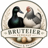 Brahma Bruteier Zucht