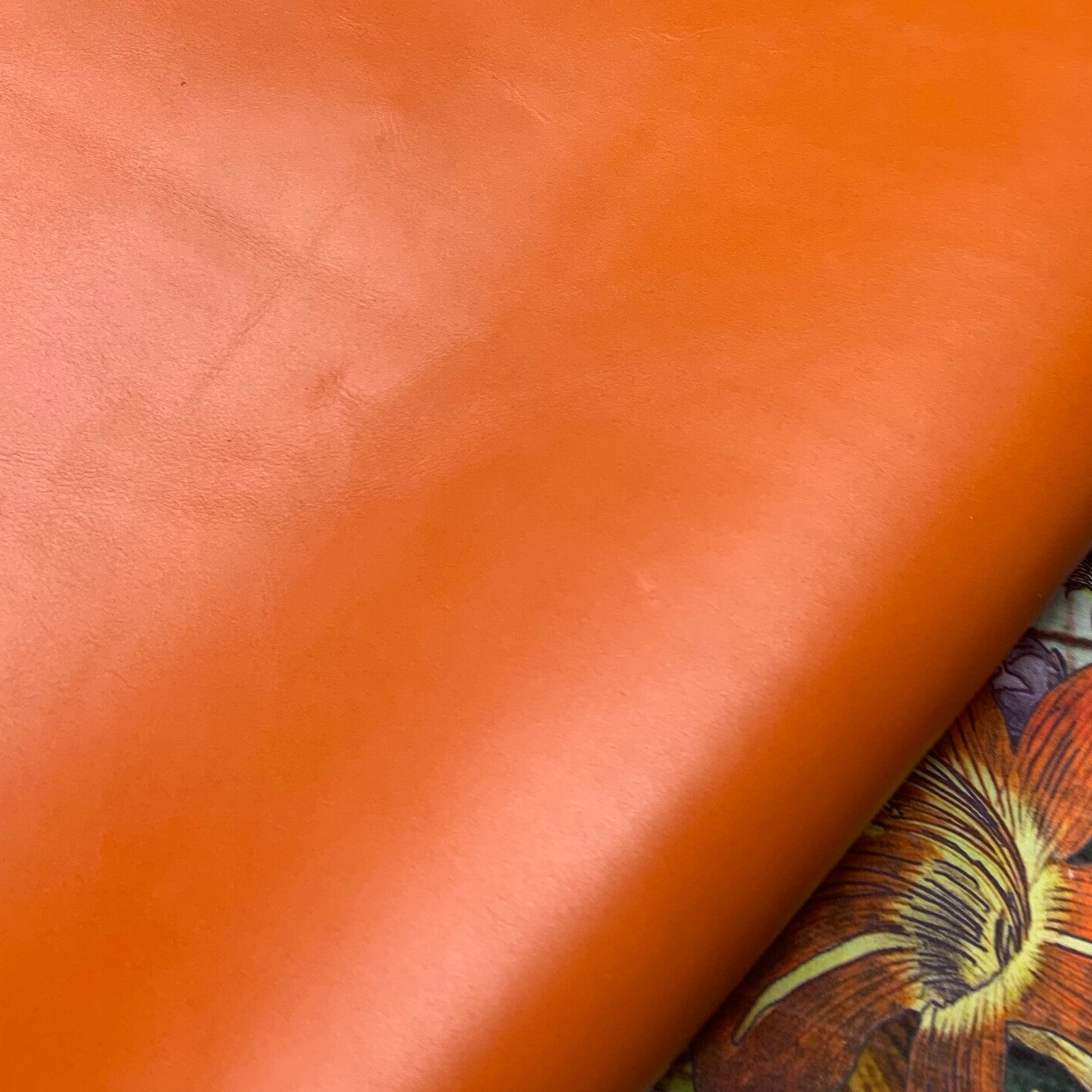 x Standig oranje 4: 60-100x30-70