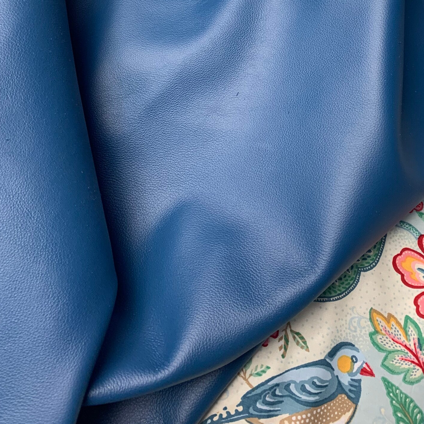 x Azuurblauw 02: 55-80x35-55