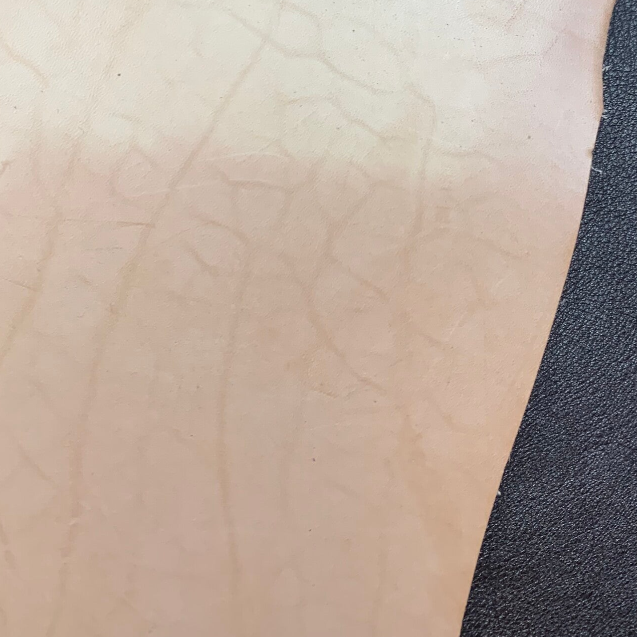 Tuigleer 4: 65x30-45