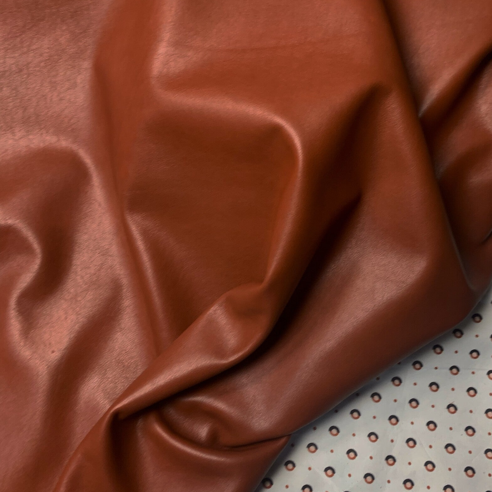 x Donkercognac 1: 100x65