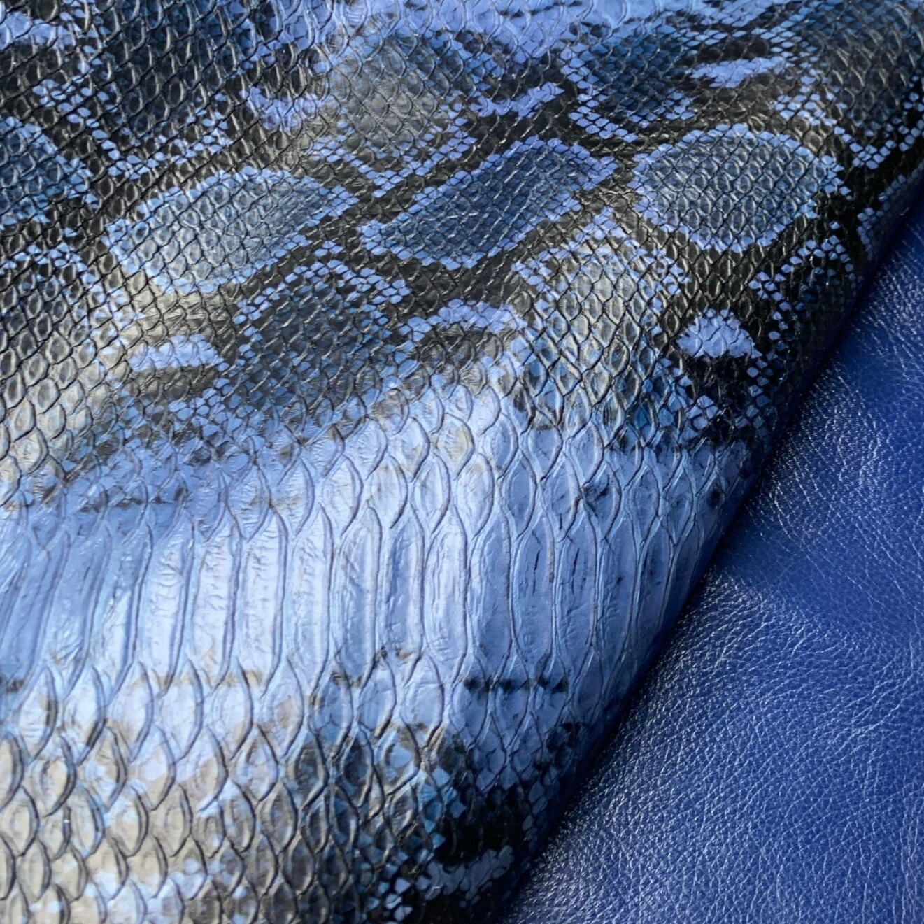 2x - Snake zwart aqua 6: 90x70