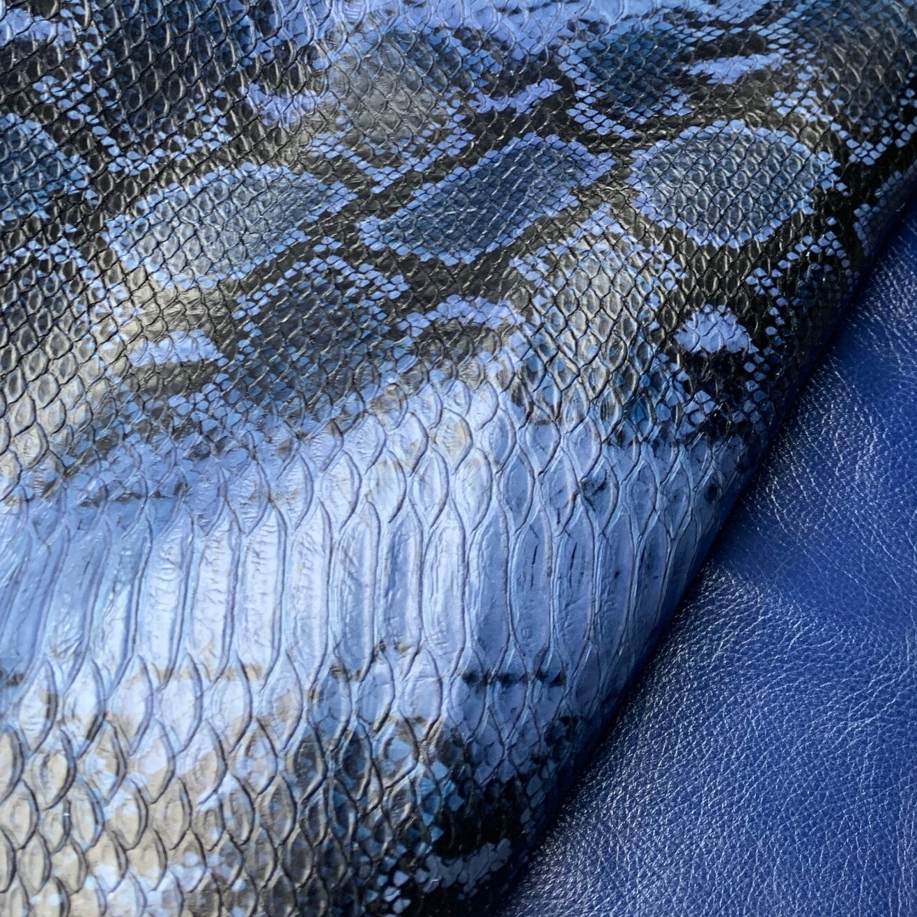 2x -Snake zwart aqua 2: 80x70-95