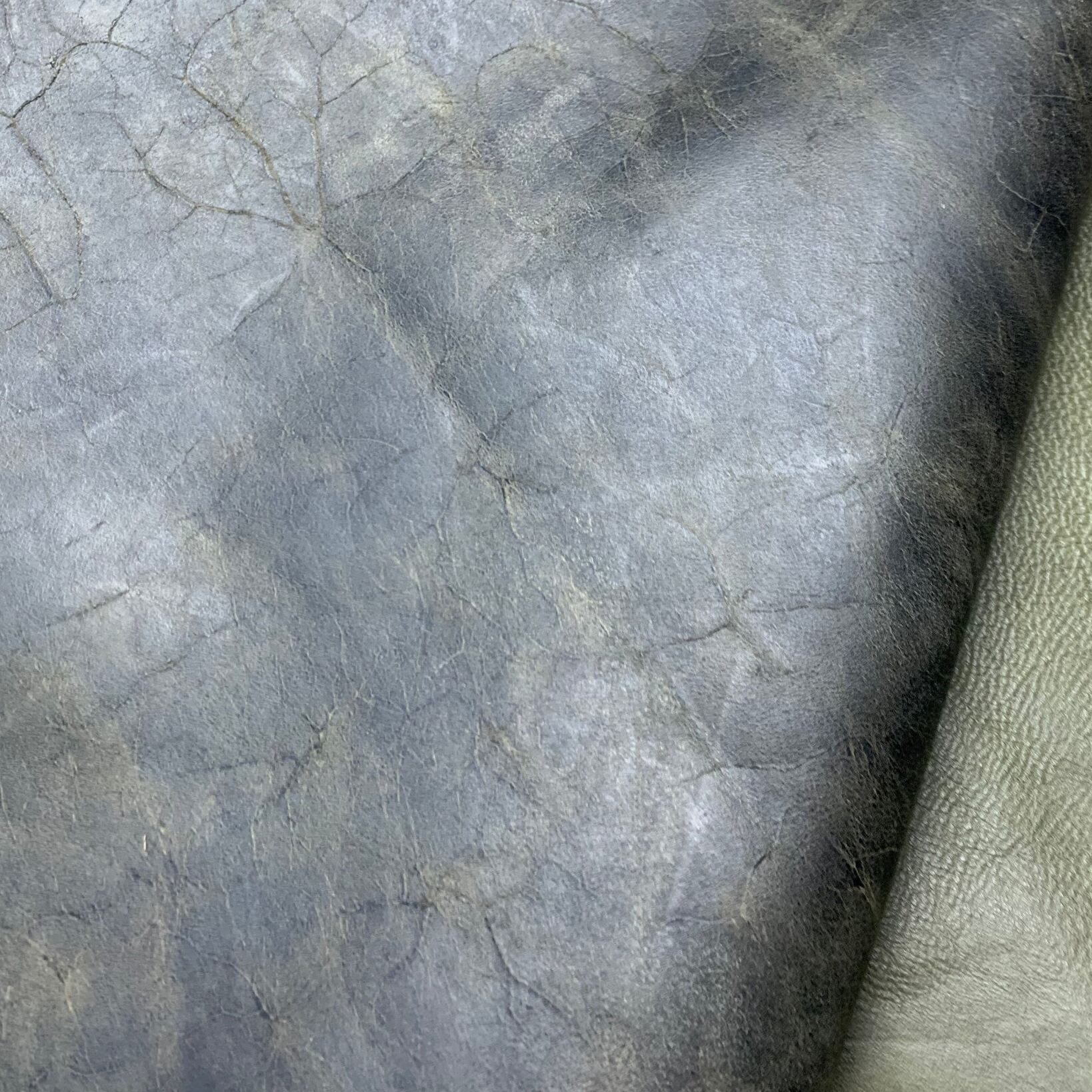 Groene bladnerf 1: 70-85x40-60