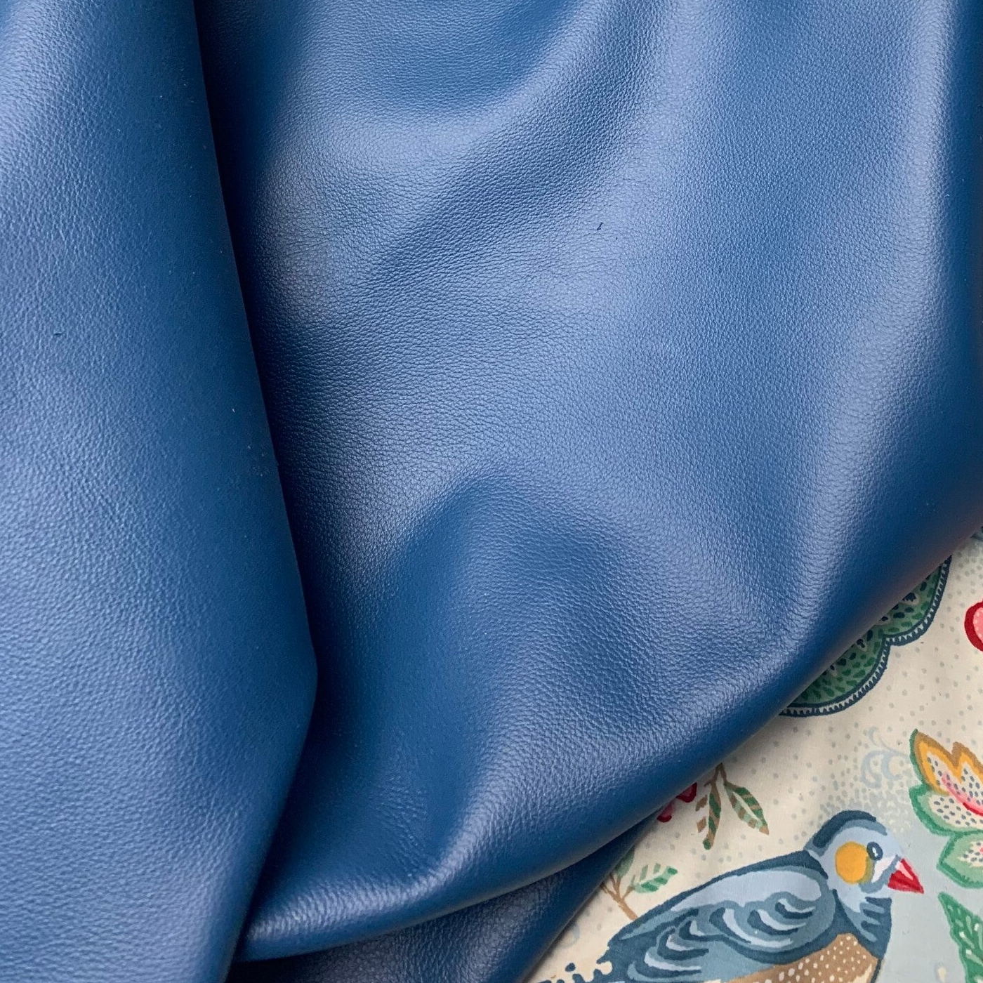 x Azuurblauw 03: 100x50-55