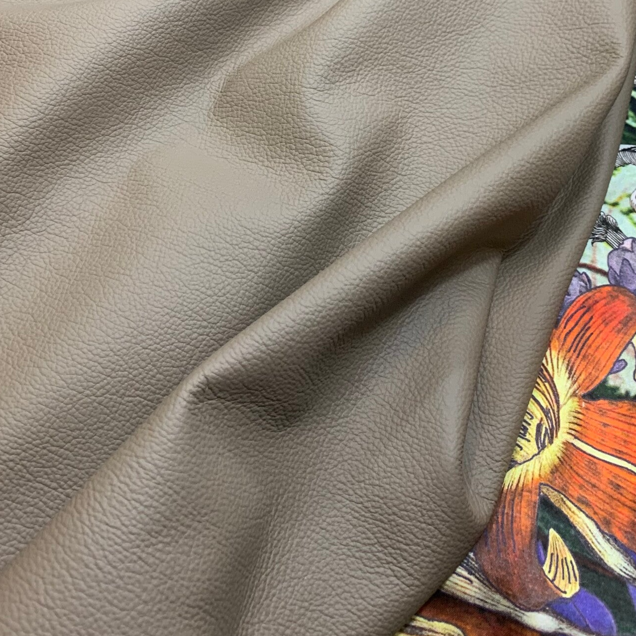 Beige 1: 80x60-65