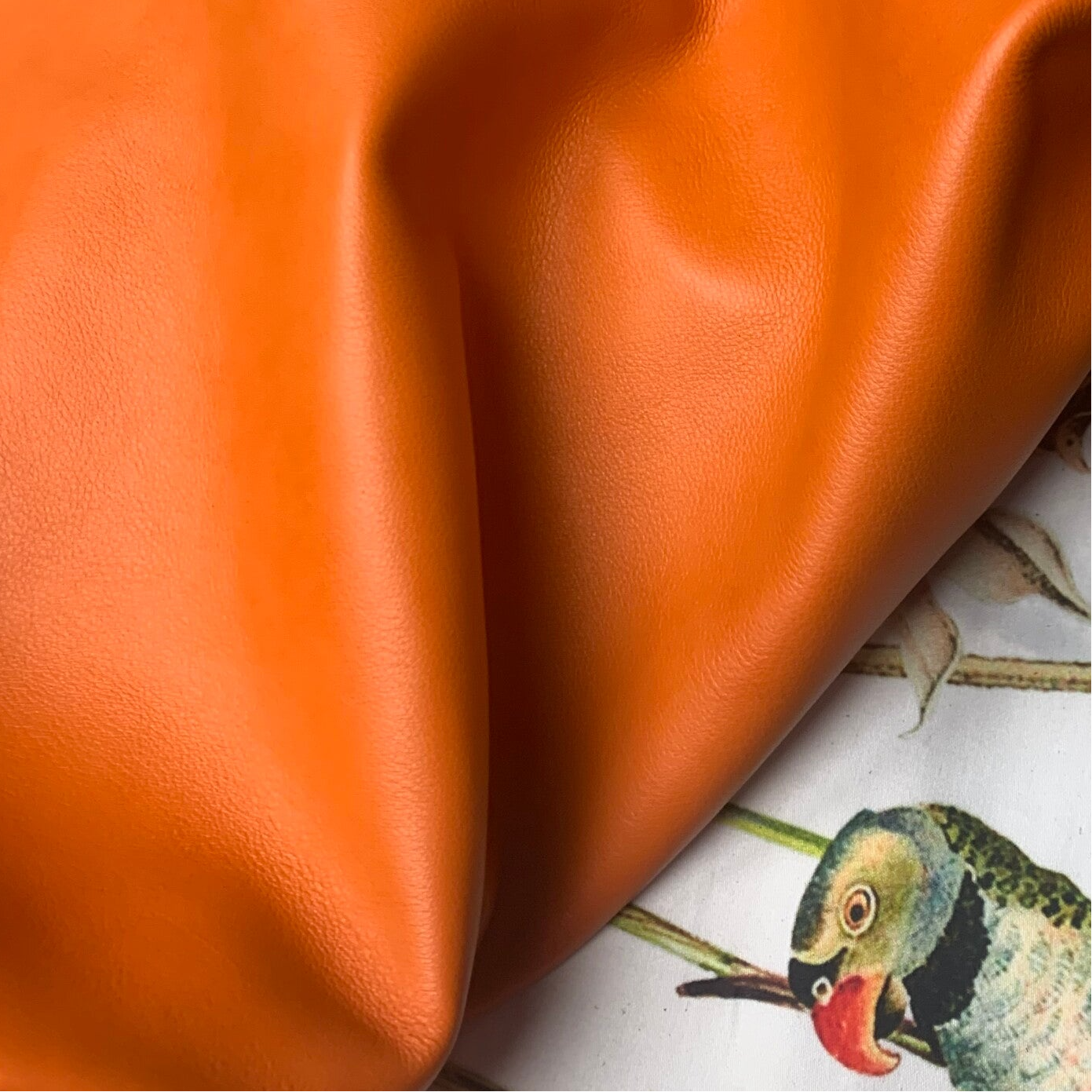 x Oranje 1: 60-65x60-70