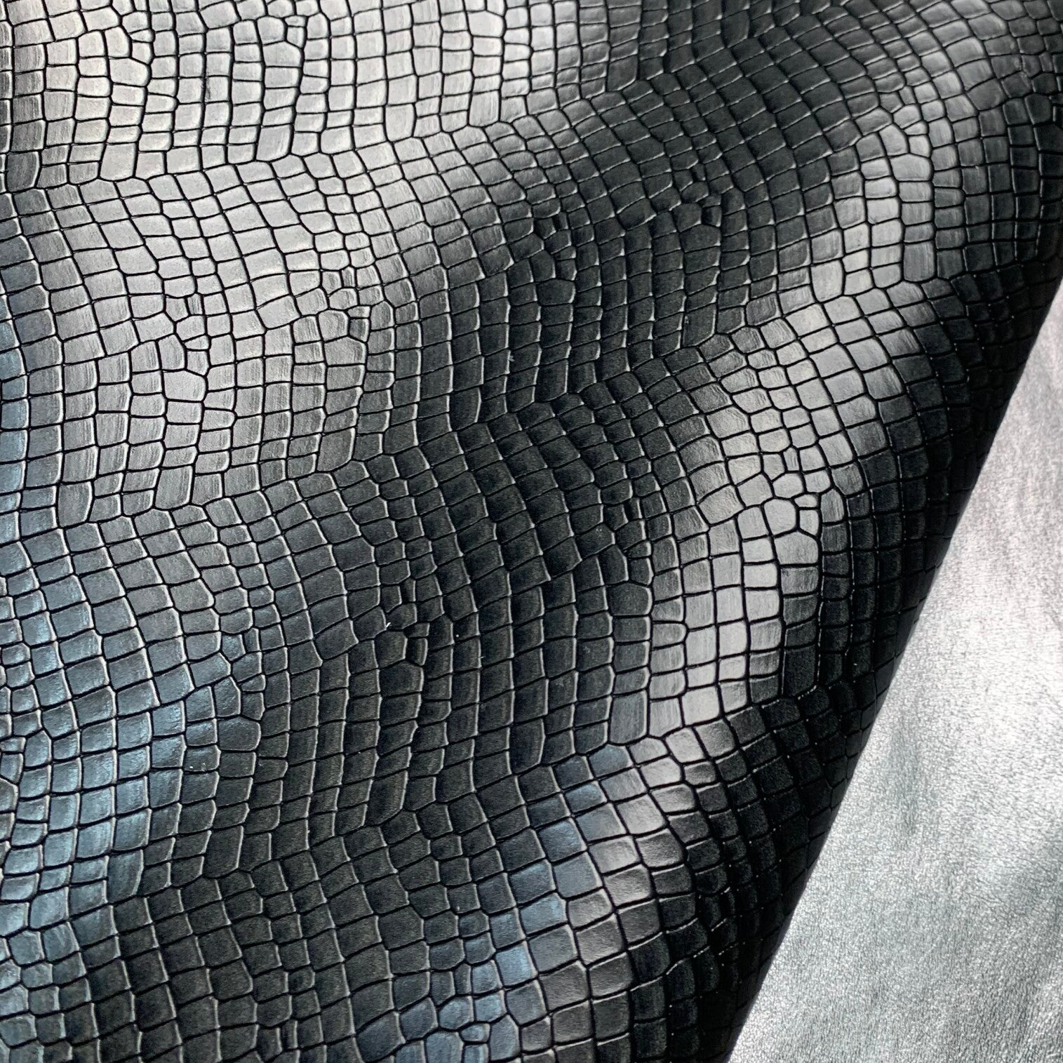 - Zwart donkergrijs reptiel 1: 80-95x60