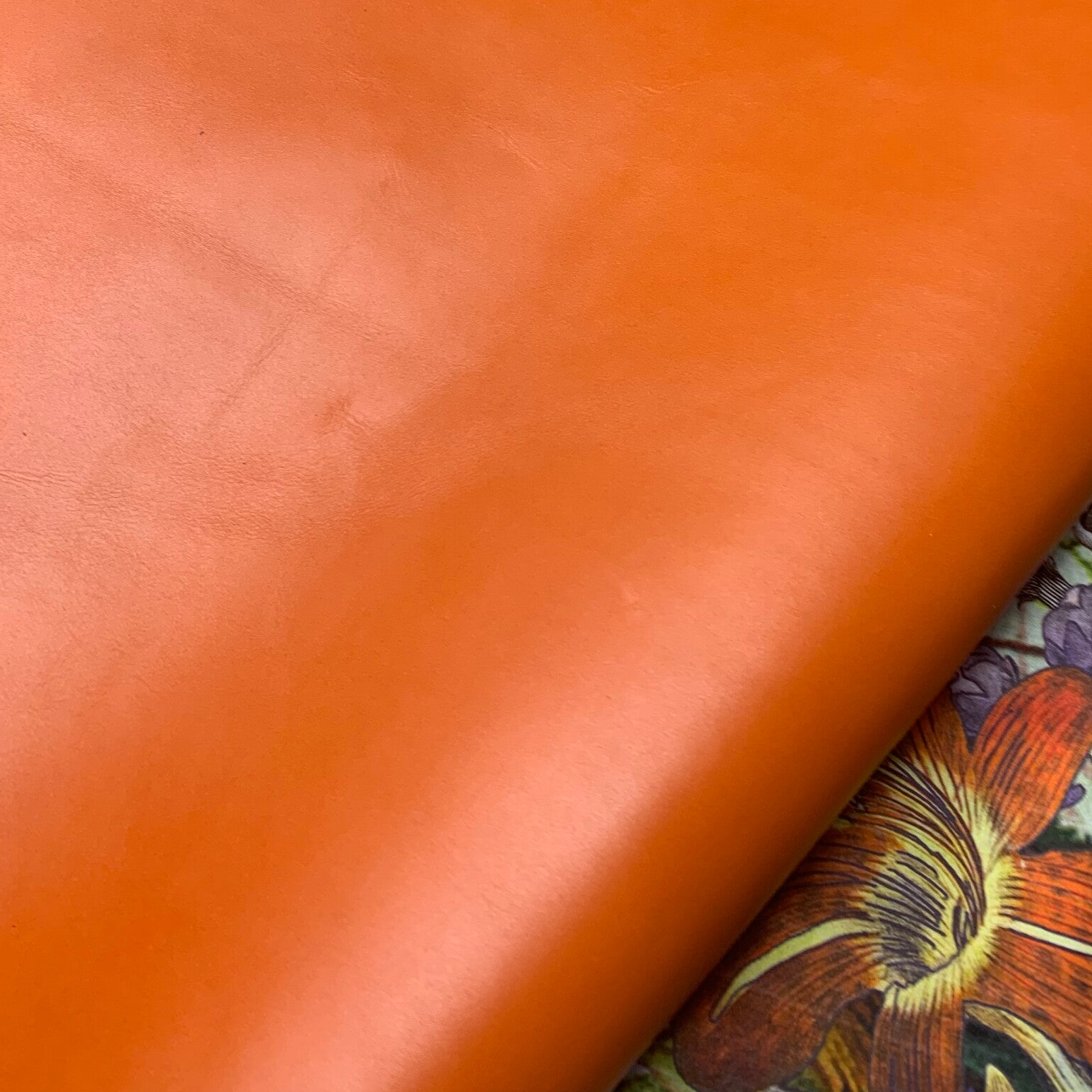 x Standig oranje 3: 95-105x45-50