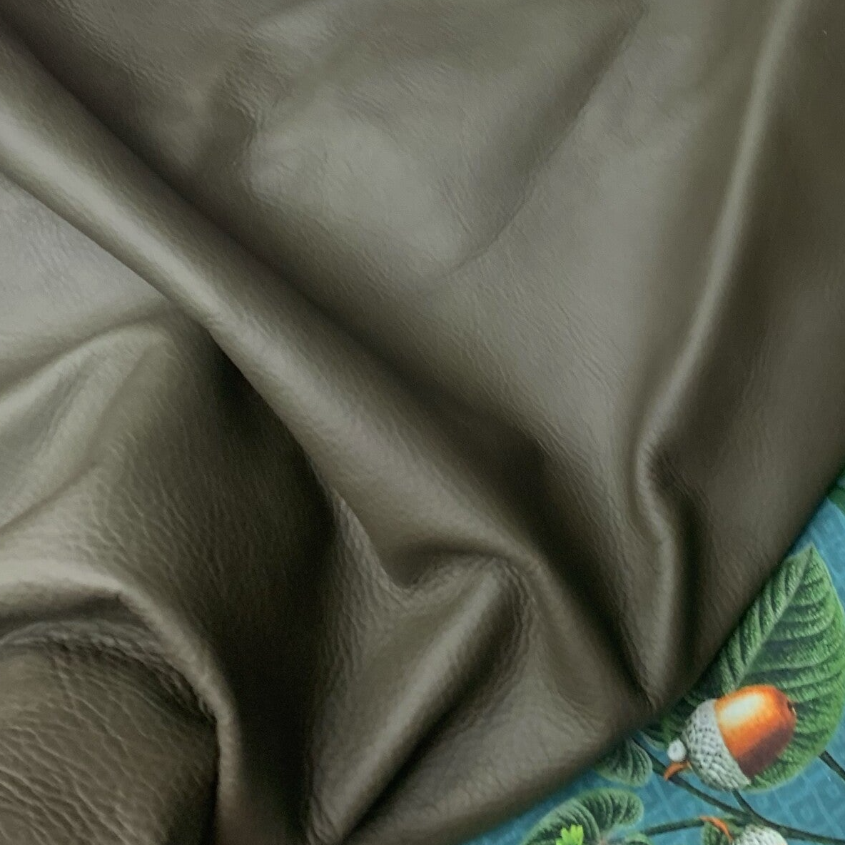 Donker olijf: 60-75x45-65