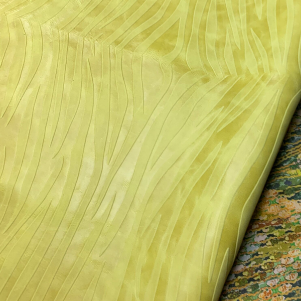 x Gele zebra 3: 100x65-90