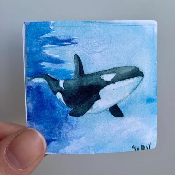 Orca Sticker
