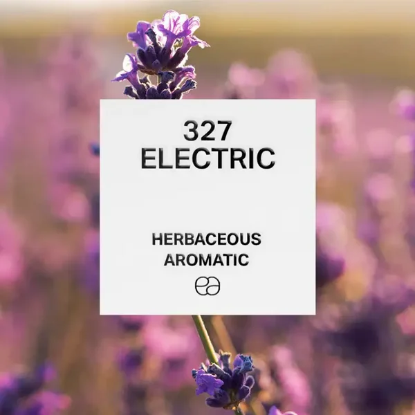 Parfum Man - 327 - Kruidig Aromatisch