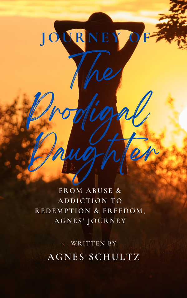 The Journey of the Prodigal Daughter Paper Back