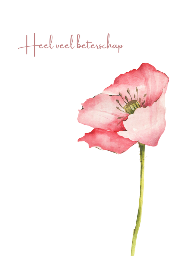 Beterschap