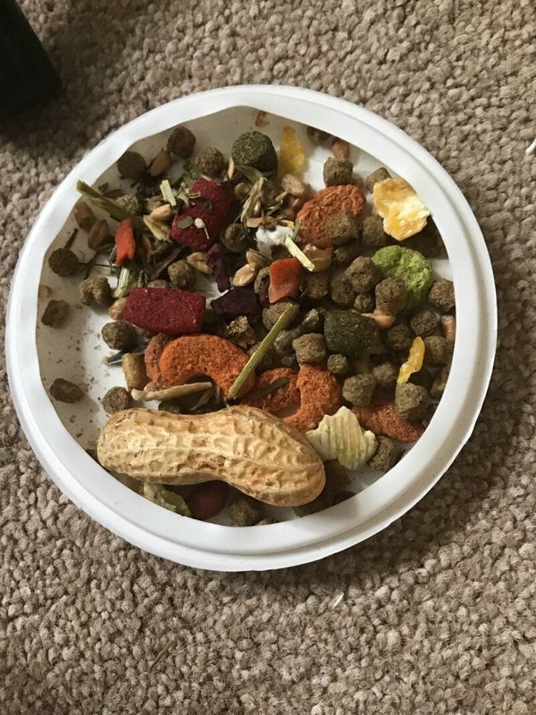 7. Small n furry muesli mix 