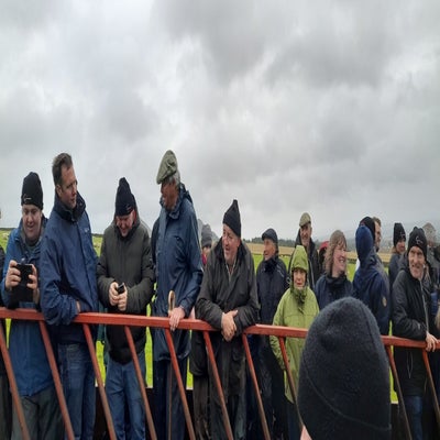 10-standard-s3h4rh.jpg