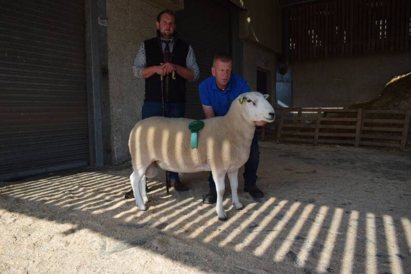 B &amp; E Latimer stood fourth amongst the rams