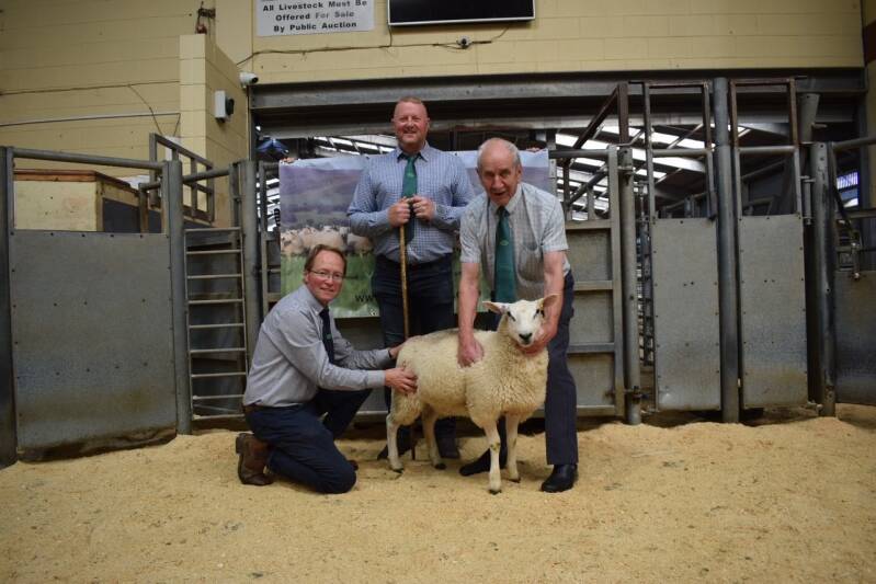 G Calwell&#039;s ewe lamb  secured £250, with all profits being donated in aid of Chest, Heart &amp; Stroke Charity