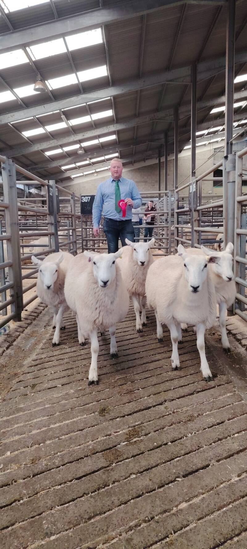 G Calwell landed the first prize honours amongst the ewe lambs