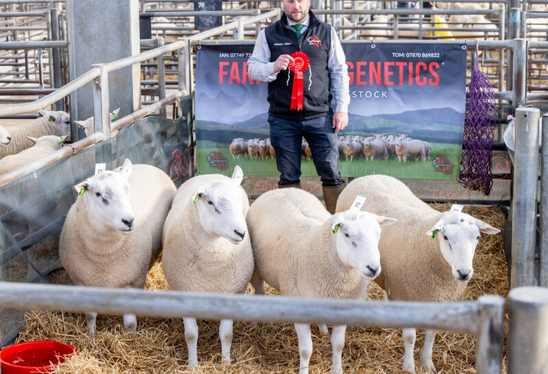 Best pen of rams was awarded to Farmstock Genetics