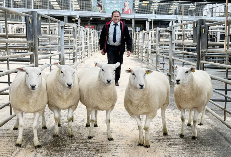 Wynne Davies with his shearling ewe champions 
