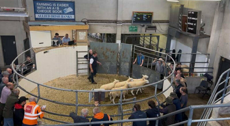 Top priced pen of five