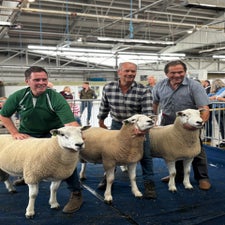 Open ram class winners