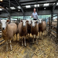 1st prize ewe lambs from RHS Turner, that sold for £200 per head