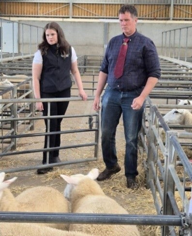 Westmorland Show