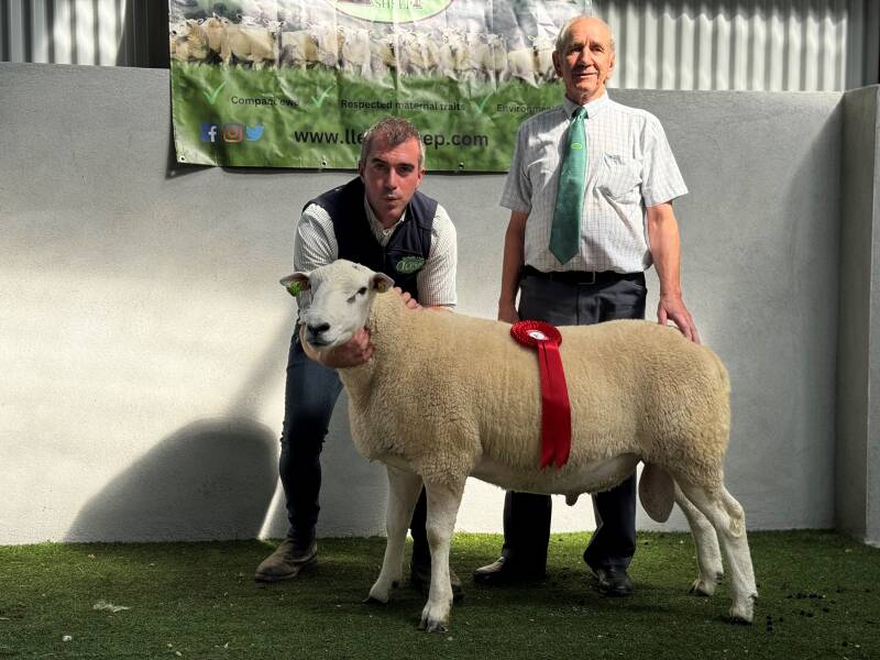 F Leonard, with his first prize ram which sold to €1520