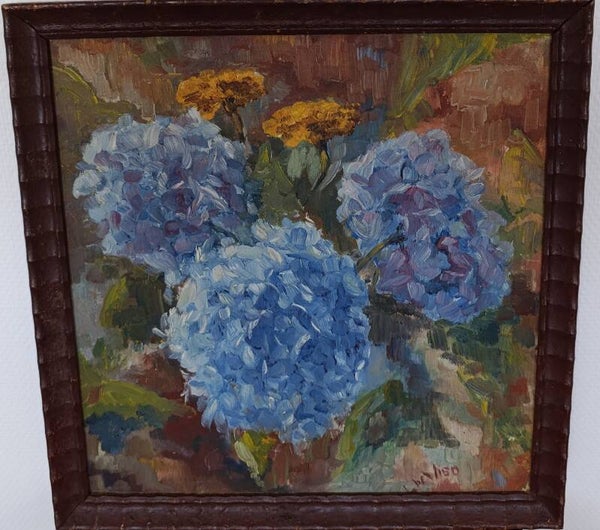Stil Leven / Hortensia