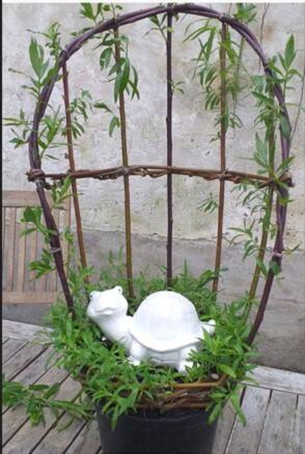 Stage petite présentation en osier vivant le samedi 24 janvier à 15 heures