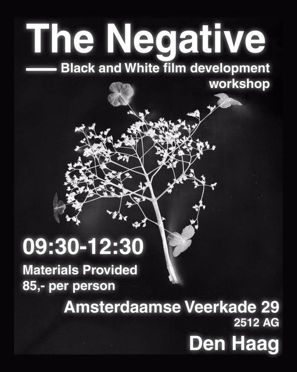 The Negative