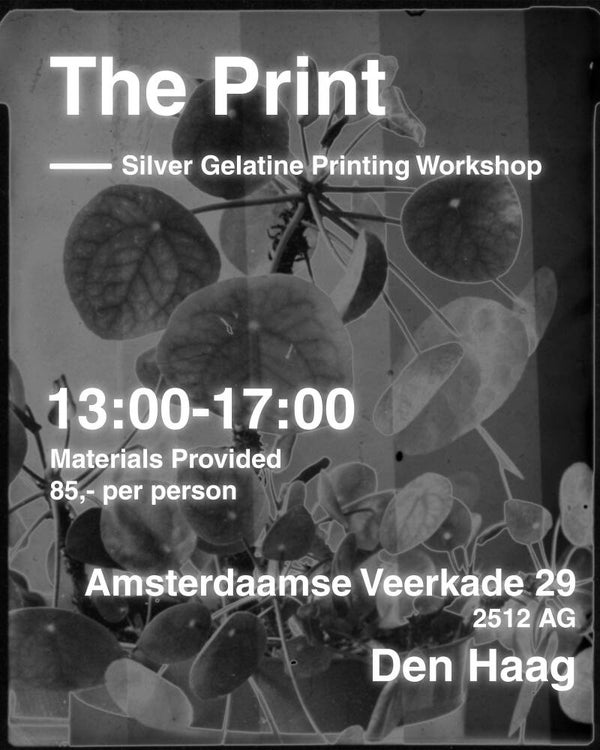 The Print