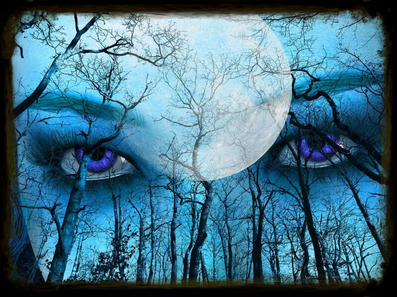 Séance en visioconférence