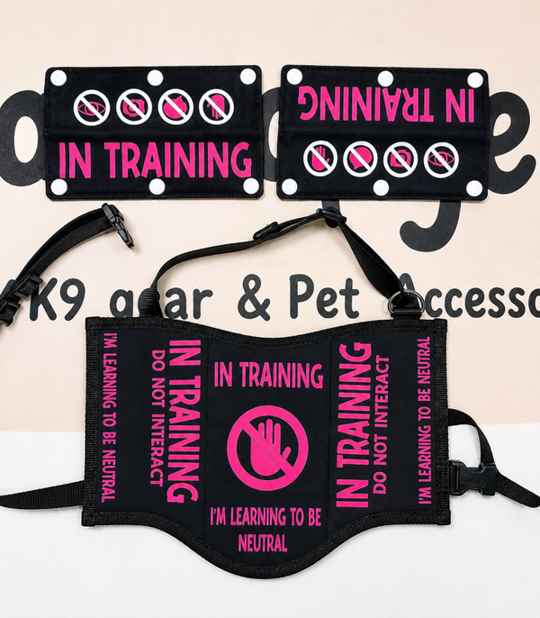 🩷Pink Training Puppy Set🩷