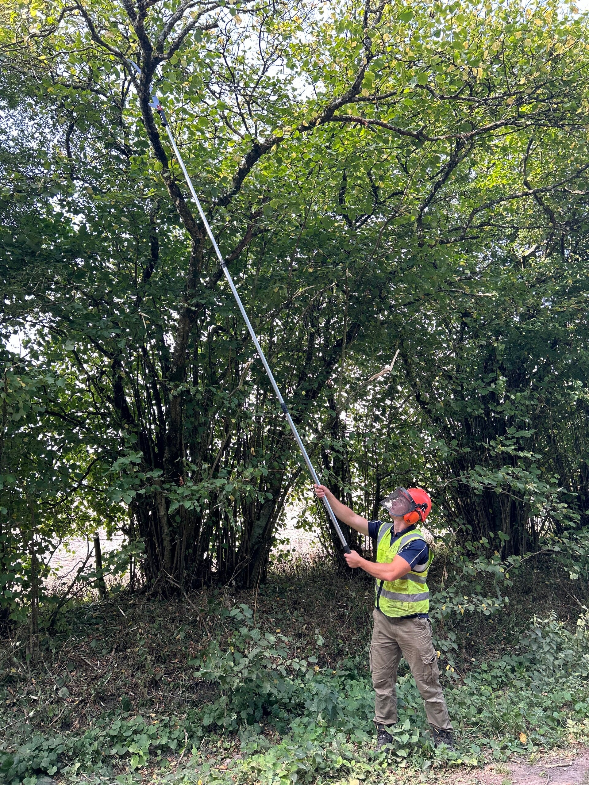 5m Telescopic Pole Saw