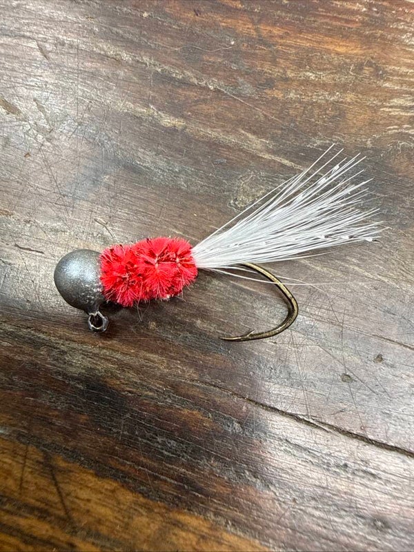 Holliday Eagle