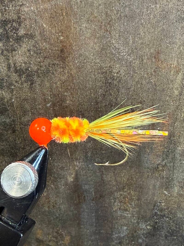 Cajun Cricket